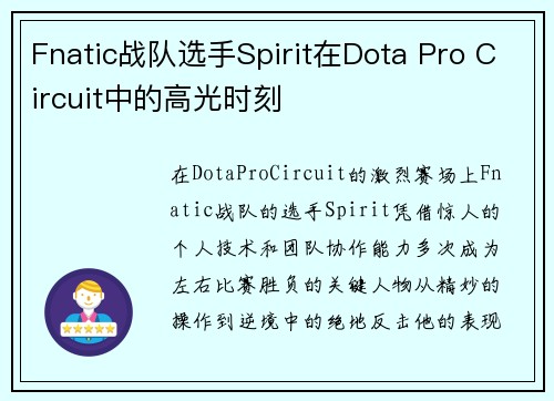Fnatic战队选手Spirit在Dota Pro Circuit中的高光时刻